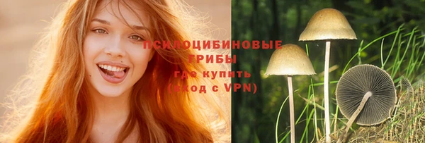 мдпв Навашино
