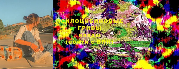 мдпв Навашино