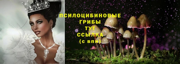 молекула духа Нея