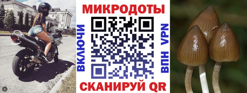 Псилоцибиновые грибы Psilocybe наркошоп Нижняя Салда